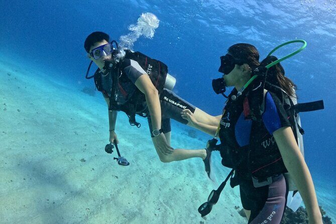 Course for Padi OW in Red Sea and Sinai - What’s Included and What’s Not