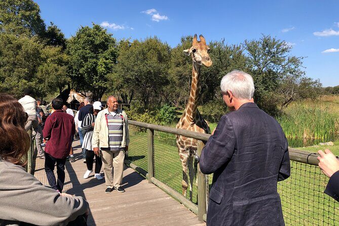 Cradle of Humankind Tour with Lion Safari from Johannesburg - Practical Considerations