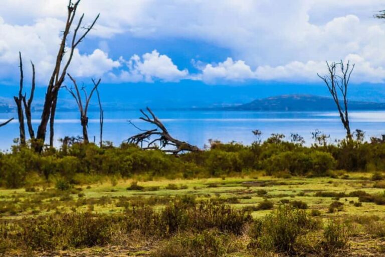 Crescent Island and Lake Naivasha: A Walking Safari - Is It Worth the Price?