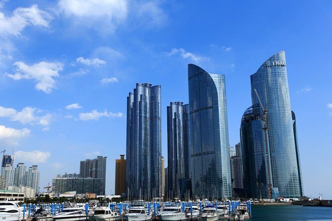 Cruise Layover : Small Group Busan Highlight Day Tour - Transportation & Logistics
