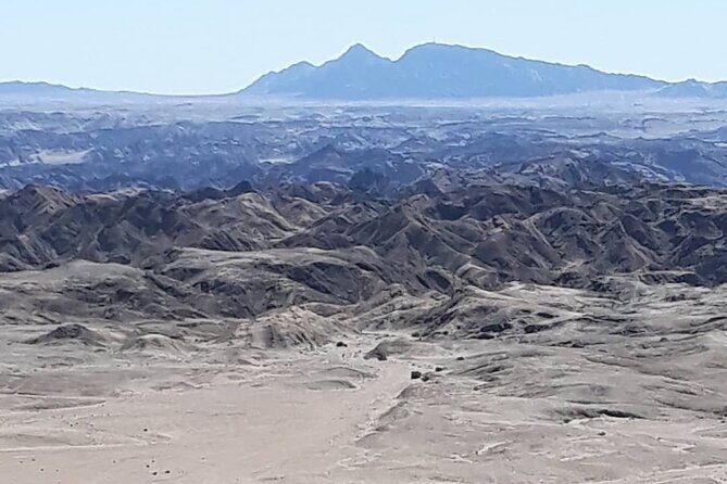Cruise liner Special: Swakopmund and Namib Desert Highlights - What the Reviews Say