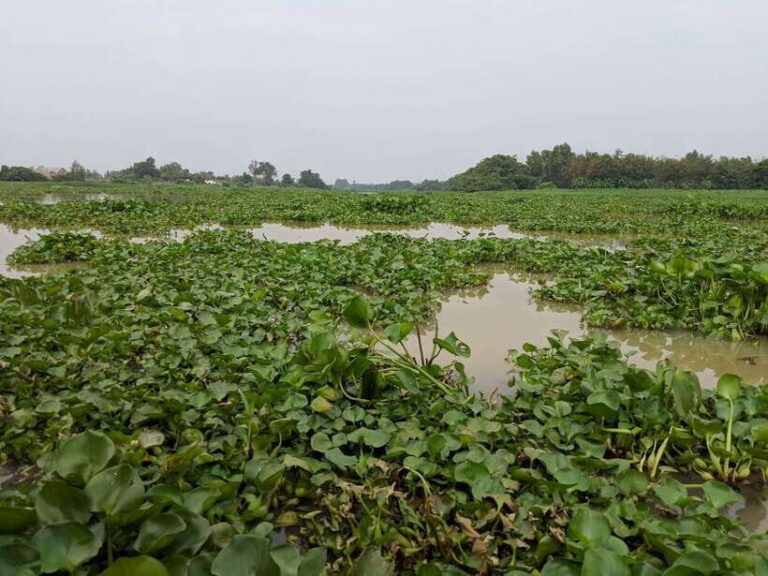 Cu Chi Tunnels & Mekong Delta Small Group Tour Full Day - Analyzing the Value and Practicality