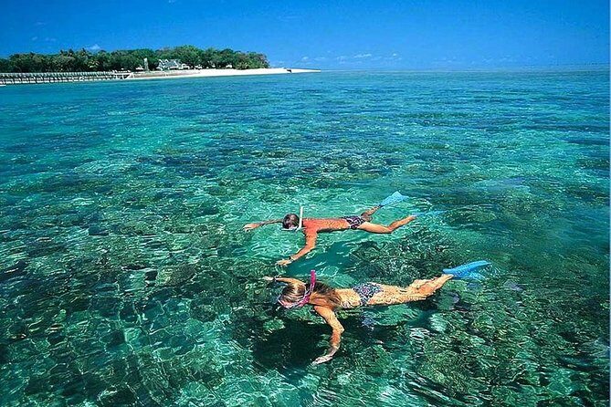 Cu Lao Cham Island Tour from Da Nang/ Hoi An - What the Reviews Say