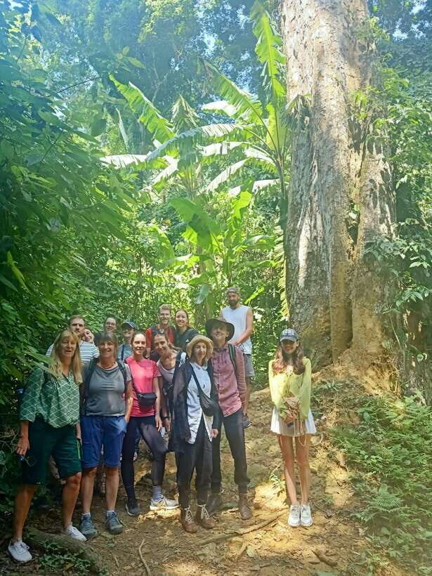 Cuc Phuong National Park Full Day Trip From Hanoi - The Value of the Tour