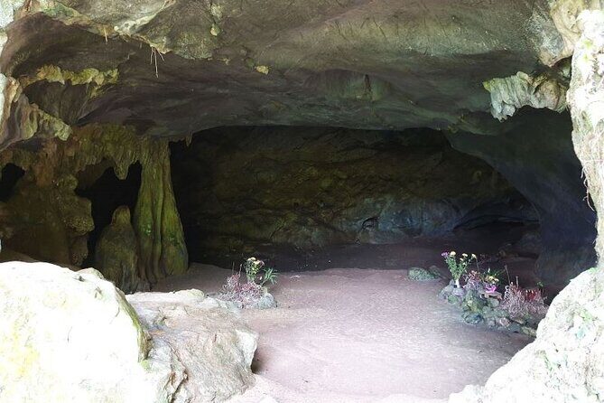 Cuc Phuong National Park Private Day Tour: Trekking & Primates - Is This Tour Right for You?