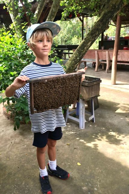 CUCHI TUNNEL & MEKONG DELTA SUPERIOR SERVICE FULL-DAY TOUR - Who Should Consider This Tour?