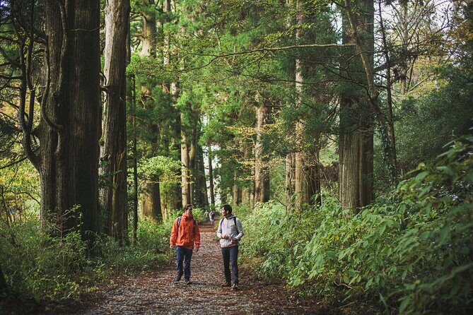 Custom Private Tour in Hakone with a Certified Local Guide - An In-Depth Look at the Tour Experience