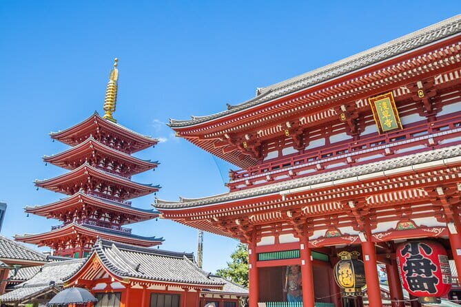 Customizable Tokyo Tour - What to Expect During the Tour
