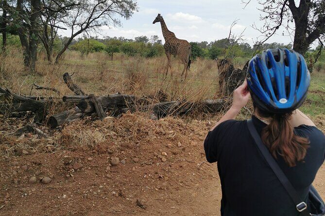 Cycling in a Forest close to Johannesburg and Pretoria - Who Should Consider This Tour