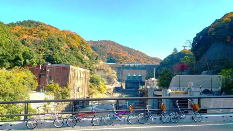 Cycling Tour at Uji's Matcha Green Tea Fields and Heritage - Value and Considerations
