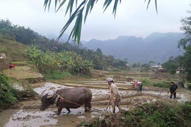 Da Lat Easy Rider-Motorbike Tour-3 Days From Dalat To Nha Trang - Day 2: Lakes, Waterfalls, and Highland Culture