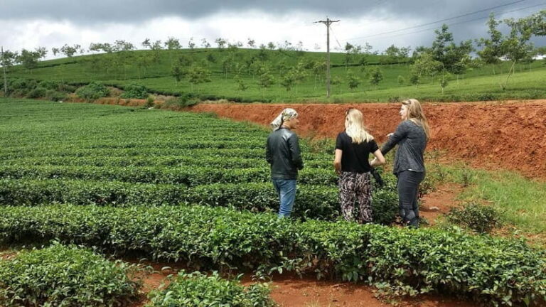 Da Lat: Silk, Coffee, Tea & the Spirit of Kho Full-Day Tour - Value and Price Analysis