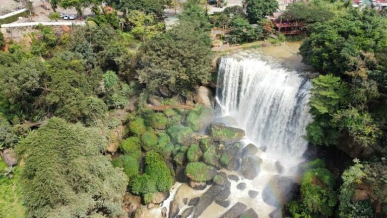 Da Lat's Most Beautiful Nature Discovery Tour (Private Car) - Who Would Love This Tour?