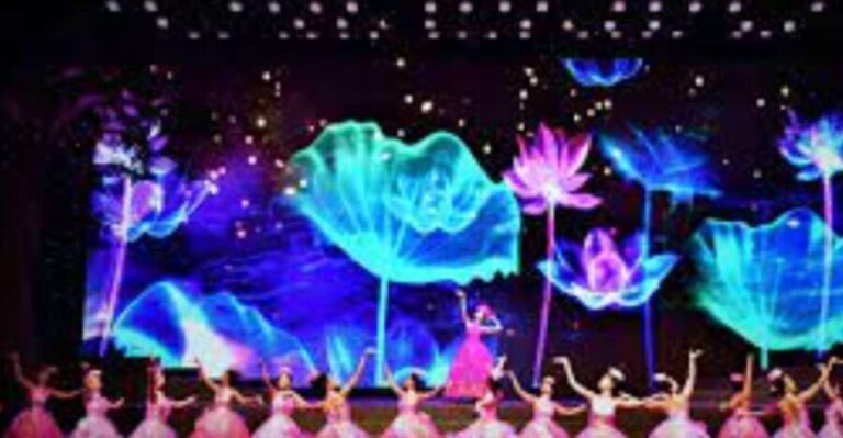 Da Nang Charming Show Viet Nam - What to Expect from the Performance