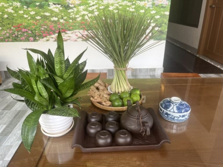 Da Nang: Experience 60 minutes Thai Traditional Massage - The Experience of the Massage and Its Benefits