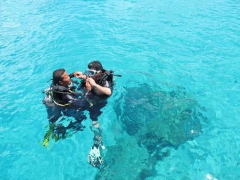 Da Nang/Hoi An: Diving in Cham Islands with an instructor - A Detailed Look at the Cham Islands Tour