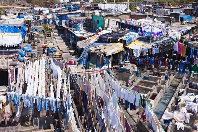 Dabbawala, Dhobi Ghat & Dharavi slum Tour with Local Train Ride - Transportation & Group Size