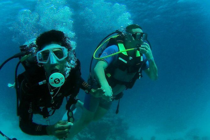Daily 2 Dives with Equipment from Hurghada - Underwater Highlights