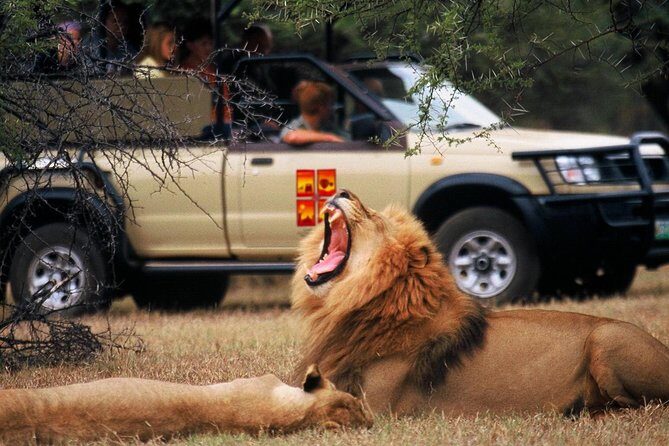 Daily Pilanesberg National Park Private Shuttle Services - Final Thoughts