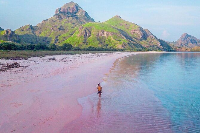 Daily Trip Highlight Komodo Archipelago by Speed Boat - What the Tour Includes and What It Doesn’t