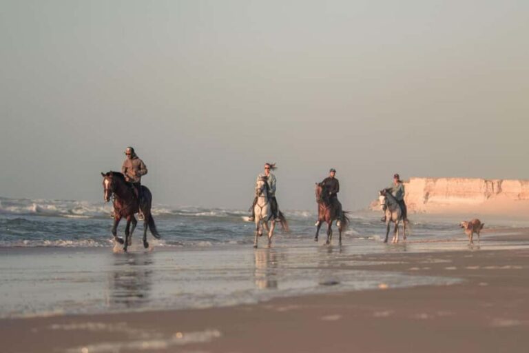 Dakhla Horse Riding Tour in the Desert - What Travelers Say