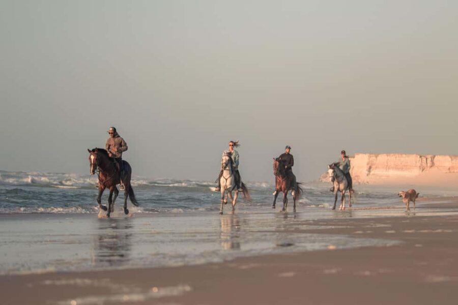 Dakhla: Horseback Riding Tour - An Introduction to the Dakhla Horseback Riding Adventure