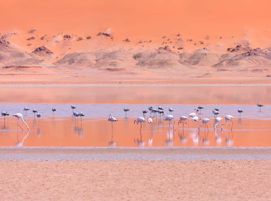 Dakhla White Dune 4x4 Tour Half Day - Why This Tour Might Be Perfect for You