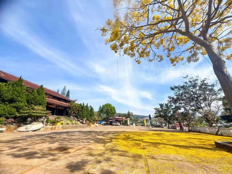 Dalat: 3 Waterfalls Day Tour Datanla, Pongour & Elephant - Detailed Review
