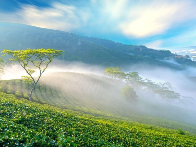 Dalat: Best of the Countryside Tour in a Private Car - Analyzing the Value: Is It Worth It?