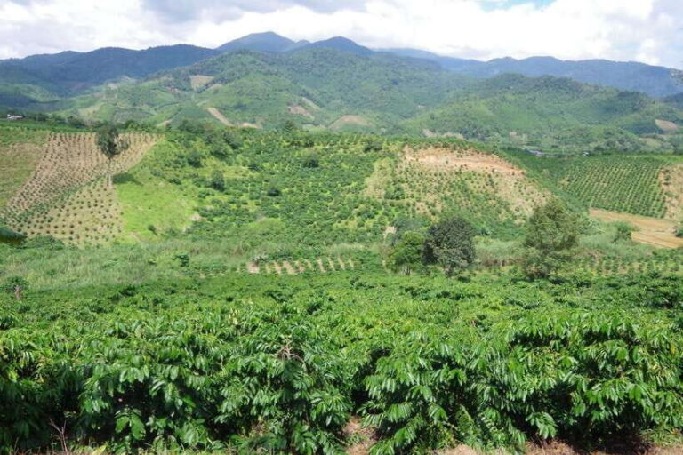 Dalat Countryside Motorbike Tour - Full day Easy Rider Tour - Key Points