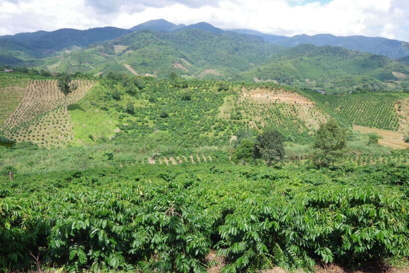 Dalat Countryside Motorbike Tour - Full day Easy Rider Tour - Key Points