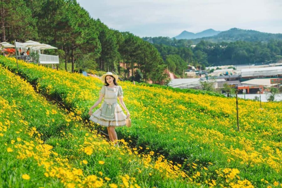 Dalat: Fun and Farm Experience with Local Guide - The Agricultural Zone: Tasting and Learning