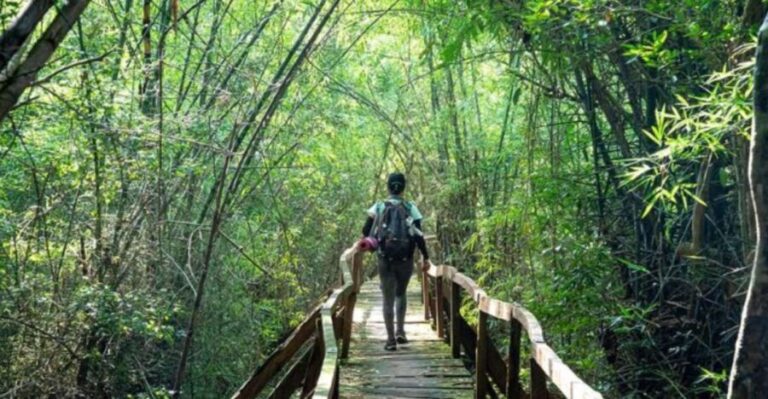 Dalat to Cat Tien National Park & Saigon (3 Days) - What’s Included and What to Expect