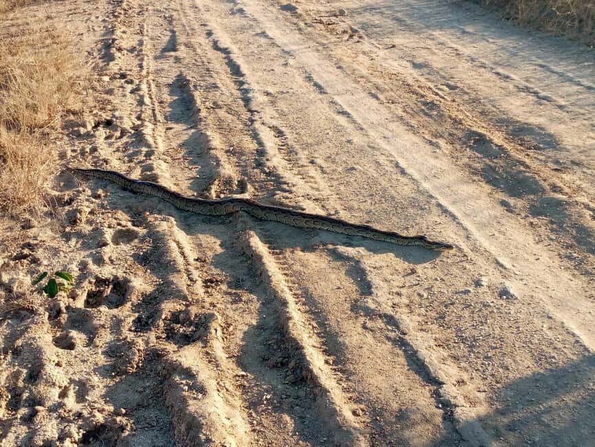 Dar es Salaam: 3-Day Mikumi National Park Safari with Meals - What to Expect and How It Adds Up