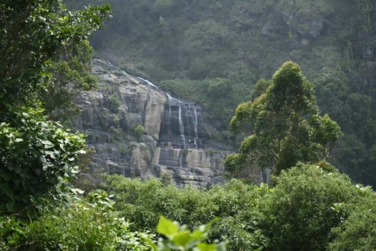 Dar es Salaam: 3-Day Mikumi & Udzungwa Safari with Train - What Makes This Tour Stand Out?
