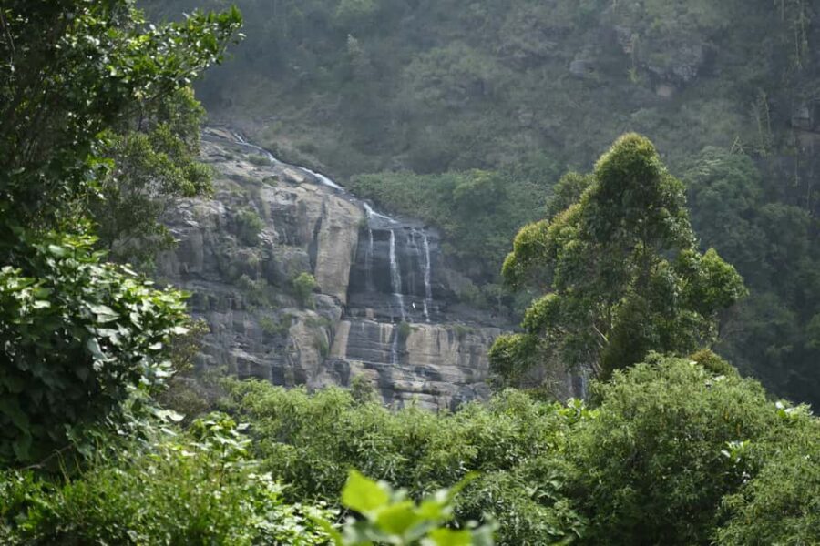 Dar es Salaam: 3-Day Mikumi & Udzungwa Safari with Train - What Makes This Tour Stand Out?
