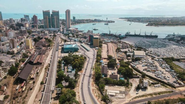 Dar es Salaam: City Highlights Tour with Local Guide - Practical Details and Value