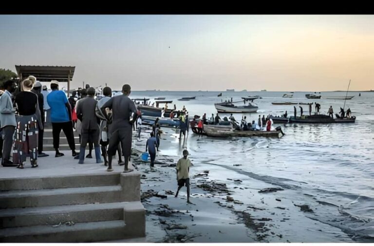 Dar es Salaam: Guided Fish Market Tour - Who Will Appreciate This Tour?