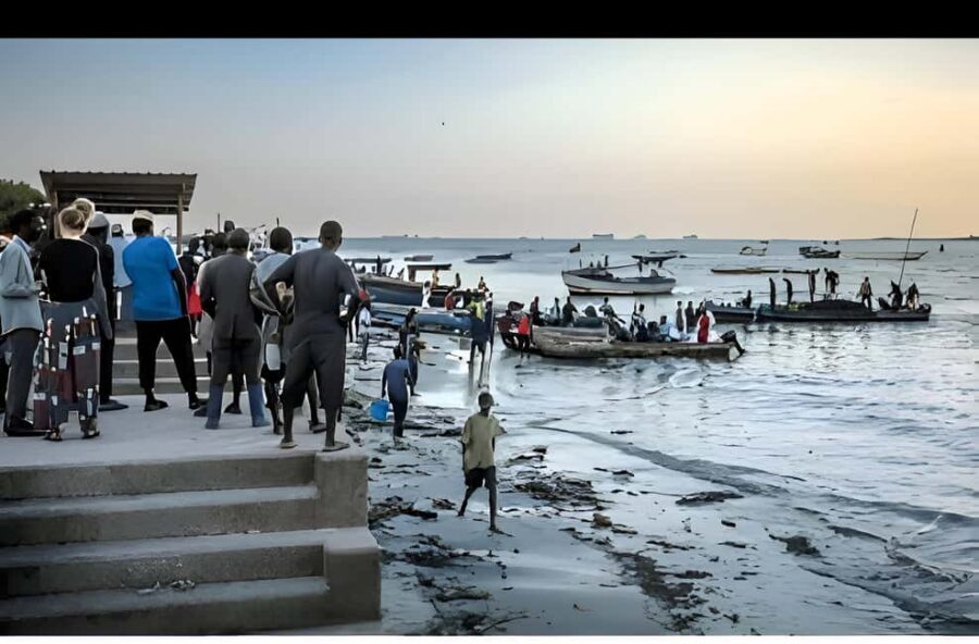 Dar es Salaam: Guided Fish Market Tour - Who Will Appreciate This Tour?