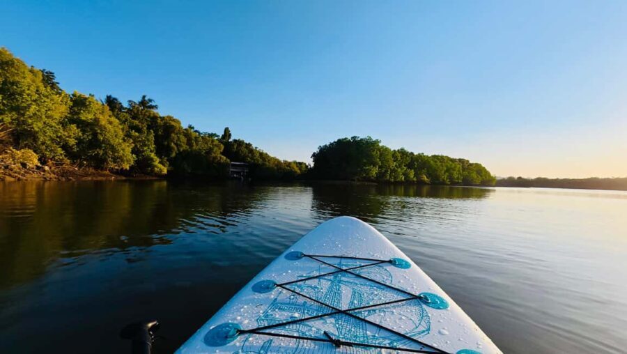 DAR ES SALAAM: Mangrove & Ocean Standuppaddle Experience - Why You’ll Love This Experience