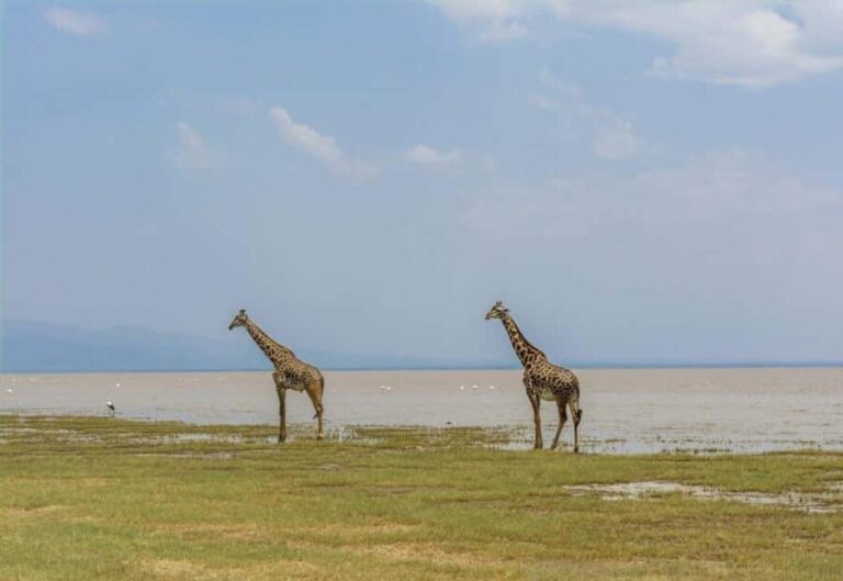 Dar es Salaam: Mbudya & Bongoyo Island Full-Day Tour - What to Expect During the Day
