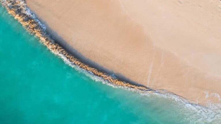 Dar es Salaam: Mbudya Island Day Trip with Snorkeling - Water Activities and the Sunset Cruise