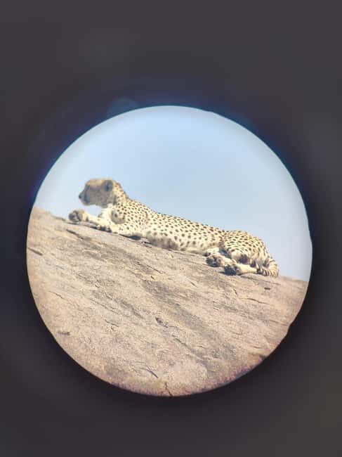 Dar es Salaam: Mikumi National Park Safari with Train Ride - Key Points