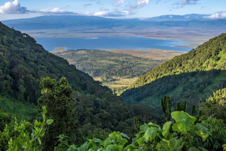 Dar es Salaam: Pugu Hills Forest Reserve 2-Day Camping Tour - The Value and Experience