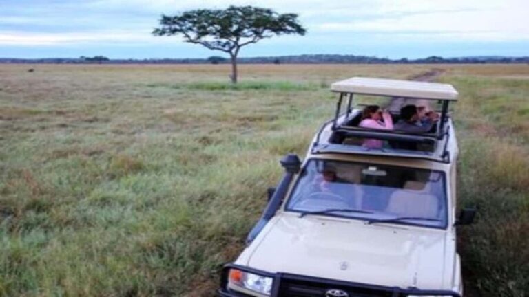 Dar es Salaam: Saadani National Park Wildlife Safari - The Experience on the Ground