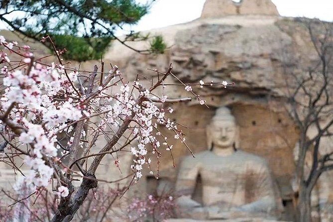 Datong Classic Day Tour - What the Reviews Say