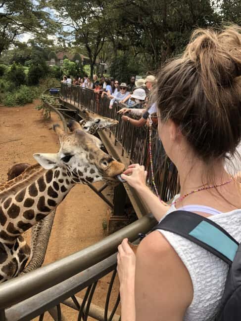 David Sheldrick wildlife Trust and Giraffe Center - The Sum Up