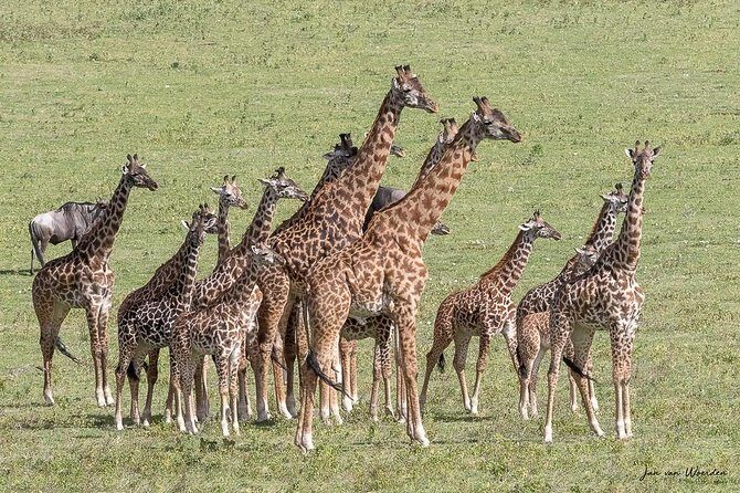 Day 1 Arusha Lake Manyara National Park - Lunch and Leisure