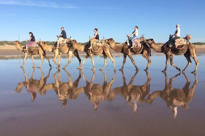Day Camel Ride with Picnic on Essaouira's beach - Why This Tour Is a Great Value