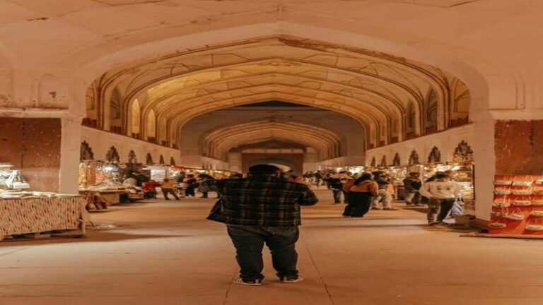 Day Customized Delhi Shopping Tour with Female Consultant - The Practicalities: What’s Included and What to Consider